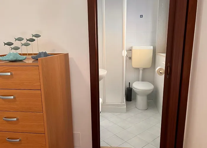 Celeste 3*